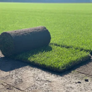 Graszoden in Drenthe gekweekt