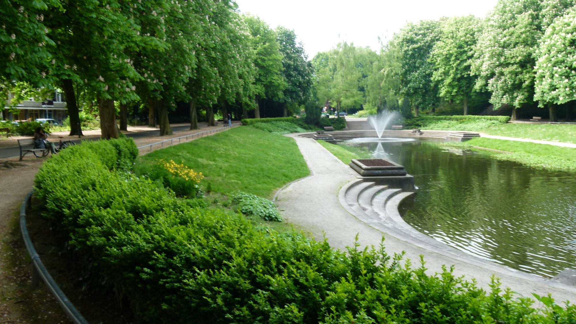 Noorderplantsoen-Groningen Noorderplantsoen Graszoden laten leggen Groningen