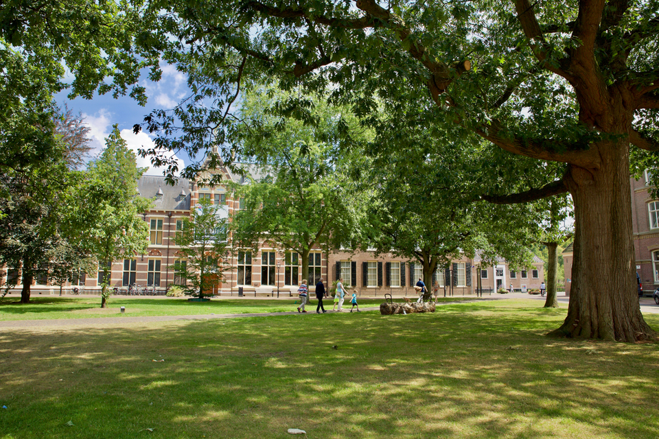 Gazon bij het Drents museum in Assen Gazon bij het Drents museum in Assen
