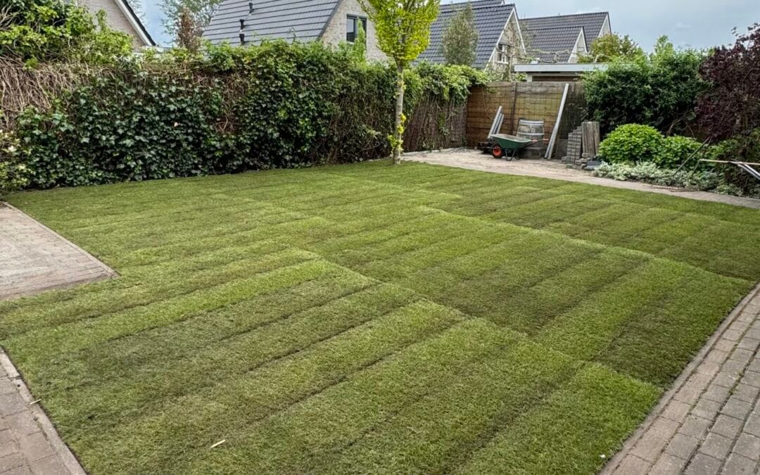 🌱 Project – Zwolle | Aanleg nieuwe grasmat