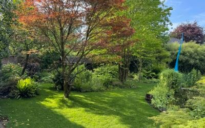 🌱 Project – Vredeveld (Assen) | Gazon vervangen